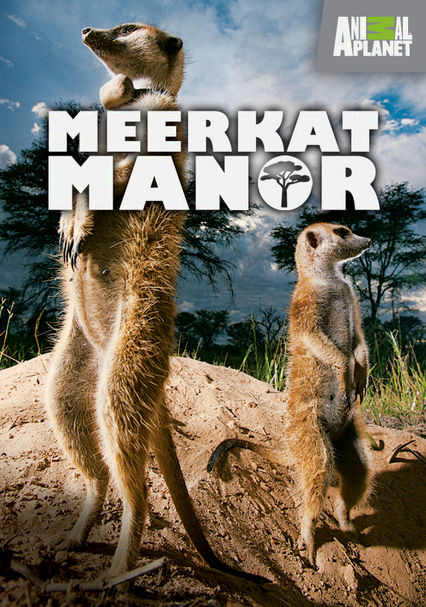 Meerkat_Manor