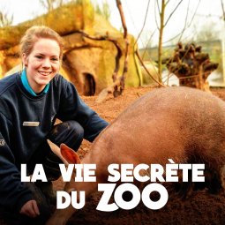 Secret_Life_Of_The_Zoo