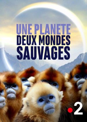Une Planète deux mondes sauvages